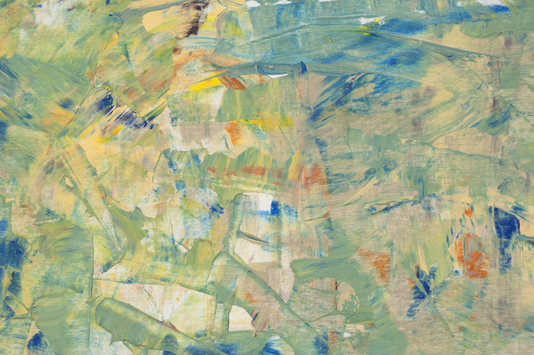 Meadow of Light